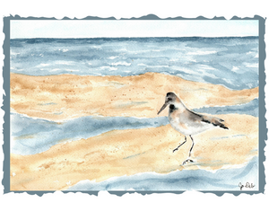 Shorebird Noteards