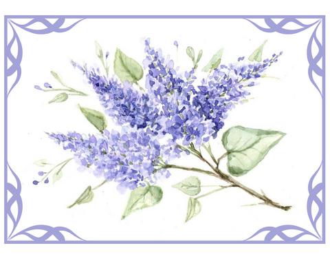 Lilacs Notecards